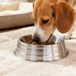 Comedouro de Alumínio Pesado Grande Maxima Pet 2300mL