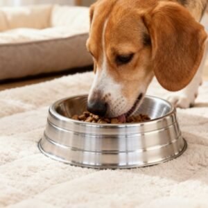 Comedouro de Alumínio Pesado Grande Maxima Pet 2300mL