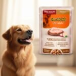 Ração Úmida Special Dog Ultralife Sachê Cães Adultos Sabor Frango 100g