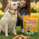 Biscoito Magnus Para Cães – Original 400g